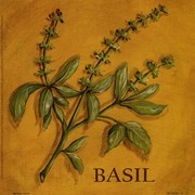 Basil - Art Print by Kate McRostie | Movie Poster Prints from Posterazzi