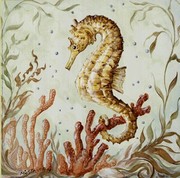 Atlantic Seahorse - Art Print by Kate McRostie | Movie Poster Prints from Posterazzi