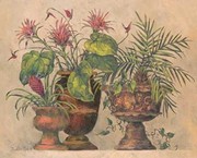A Taste Of The Tropics - Art Print by Barbara Mock | Movie Poster Prints from Posterazzi