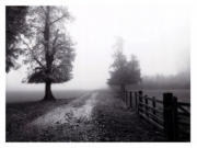 Misty I - Art Print by Stephen Rutherford-Bate | Movie Poster Prints from Posterazzi