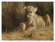 A Mother's Pride - Art Print by W. Michael Frye | Movie Poster Prints from Posterazzi