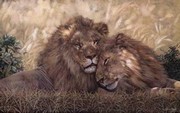 Brothers of the Serengeti - Art Print by W. Michael Frye | Movie Poster Prints from Posterazzi