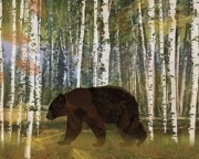 Bear - Art Print by Lynnea Washburn | Movie Poster Prints from Posterazzi