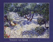 Olive Orchard - Art Print by Vincent Van Gogh | Movie Poster Prints from Posterazzi