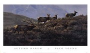 Autumn Harem - Art Print by Paco Young | Movie Poster Prints from Posterazzi