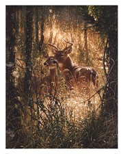 A Golden Moment - Art Print by Collin Bogle | Movie Poster Prints from Posterazzi