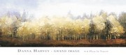 A Place In Time - Art Print by Danna Harvey | Movie Poster Prints from Posterazzi