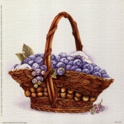 Basket Of Blueberries - Art Print by Bambi Papais | Movie Poster Prints from Posterazzi