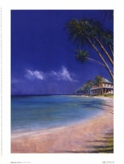 Bahama Cove - Art Print by Fred Fieber | Movie Poster Prints from Posterazzi