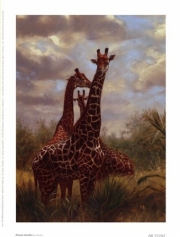 African Giraffes - Art Print by Emilie Gerard | Movie Poster Prints from Posterazzi