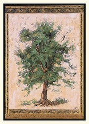 Old World Tree I - Art Print by Jennifer Goldberger | Movie Poster Prints from Posterazzi