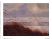 Sailboat Breezeway - Art Print by Diane Romanello | Movie Poster Prints from Posterazzi