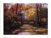 Autumn Road - Art Print by Diane Romanello | Movie Poster Prints from Posterazzi
