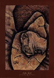Bison Fragment - Art Print by Cecilia Henle | Movie Poster Prints from Posterazzi