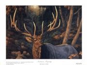 Autumn Majesty - Art Print by Crista Forest | Movie Poster Prints from Posterazzi