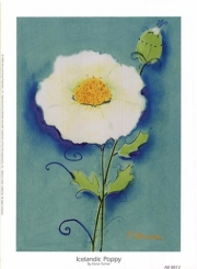 Icelandic Poppy - Art Print by Dona Turner | Movie Poster Prints from Posterazzi