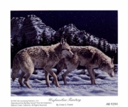 Crista Forest - Unfamiliar Territory Size 5x4 - Art Print by Crista Forest | Movie Poster Prints from Posterazzi