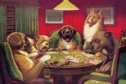 "Dog Poker - ""Stun, Shock & the Win""" - Art Print by Cassius Marcellus Coolidge | Movie Poster Prints from Posterazzi