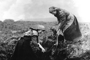 "Clougher, Ireland" - Art Print | Movie Poster Prints from Posterazzi
