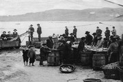 "Donegal Fish, Ireland" - Art Print | Movie Poster Prints from Posterazzi