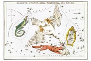 Cygnus and Adjacent Constellations - Art Print | Movie Poster Prints from Posterazzi