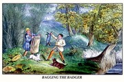 Bagging the Badger - Art Print by Henry Thomas Alken | Movie Poster Prints from Posterazzi