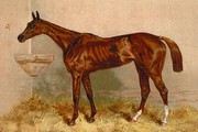 "Emblem, Steeplechase Mare" - Art Print by S. Sidney | Movie Poster Prints from Posterazzi