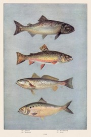 Fish - Art Print | Movie Poster Prints from Posterazzi