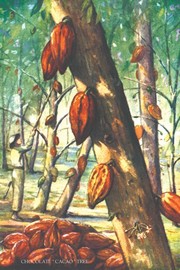 "Chocolate """"Cacao"""" Tree" - Art Print | Movie Poster Prints from Posterazzi