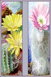 "Flower, Cactus, and Flower" - Art Print | Movie Poster Prints from Posterazzi