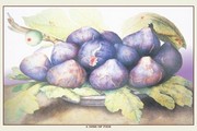Dish of Figs - Art Print by Giovanni Garzoni | Movie Poster Prints from Posterazzi