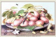 "Dish of Plums, Nuts, Jasmine and a Fly" - Art Print by Giovanni Garzoni | Movie Poster Prints from Posterazzi