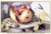 "Dish with a Pomegranate, a Grasshopper, a Snail, and Two Chestnuts" - Art Print by Giovanni Garzoni | Movie Poster Prints from Posterazzi