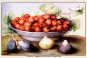 Dish of Cherries with Figs and Medlars - Art Print by Giovanni Garzoni | Movie Poster Prints from Posterazzi