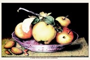Dish with Apples and Almonds - Art Print by Giovanni Garzoni | Movie Poster Prints from Posterazzi