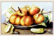 Dish of Peaches with a Cucumber - Art Print by Giovanni Garzoni | Movie Poster Prints from Posterazzi