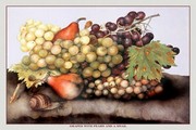 Grapes and Pears with a Snail - Art Print by Giovanni Garzoni | Movie Poster Prints from Posterazzi