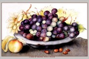 Dish of Grapes and Peaches - Art Print by Giovanni Garzoni | Movie Poster Prints from Posterazzi