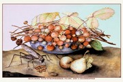 "Bowl of Strawberries, Pears and a Grasshopper" - Art Print by Giovanni Garzoni | Movie Poster Prints from Posterazzi