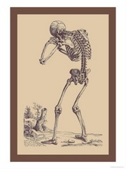 Bending Skeleton - Art Print by Andreas Vesalius | Movie Poster Prints from Posterazzi