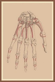 Bones of the Lower Row - Art Print | Movie Poster Prints from Posterazzi
