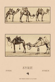 Variety of Howdahs from Syria - Art Print by Auguste Racinet | Movie Poster Prints from Posterazzi