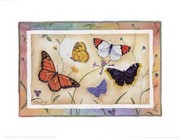 American Butterflies I - Art Print by Paul Brent | Movie Poster Prints from Posterazzi