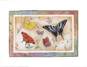 American Butterflies II - Art Print by Paul Brent | Movie Poster Prints from Posterazzi