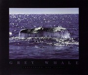 Whale Tale - Art Print by Bob Talbot | Movie Poster Prints from Posterazzi