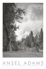El Capitan - Art Print by Ansel Adams | Movie Poster Prints from Posterazzi