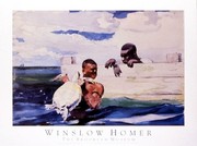 Turtle Pound - Art Print by Winslow Homer | Movie Poster Prints from Posterazzi