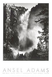 Bridal Veil Falls - Art Print by Ansel Adams | Movie Poster Prints from Posterazzi