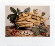 Natura Morta con Ciliegie - Art Print by Giovanni Garzoni | Movie Poster Prints from Posterazzi