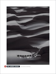 Amber Dunes - Art Print by Bertrand Arthus | Movie Poster Prints from Posterazzi
